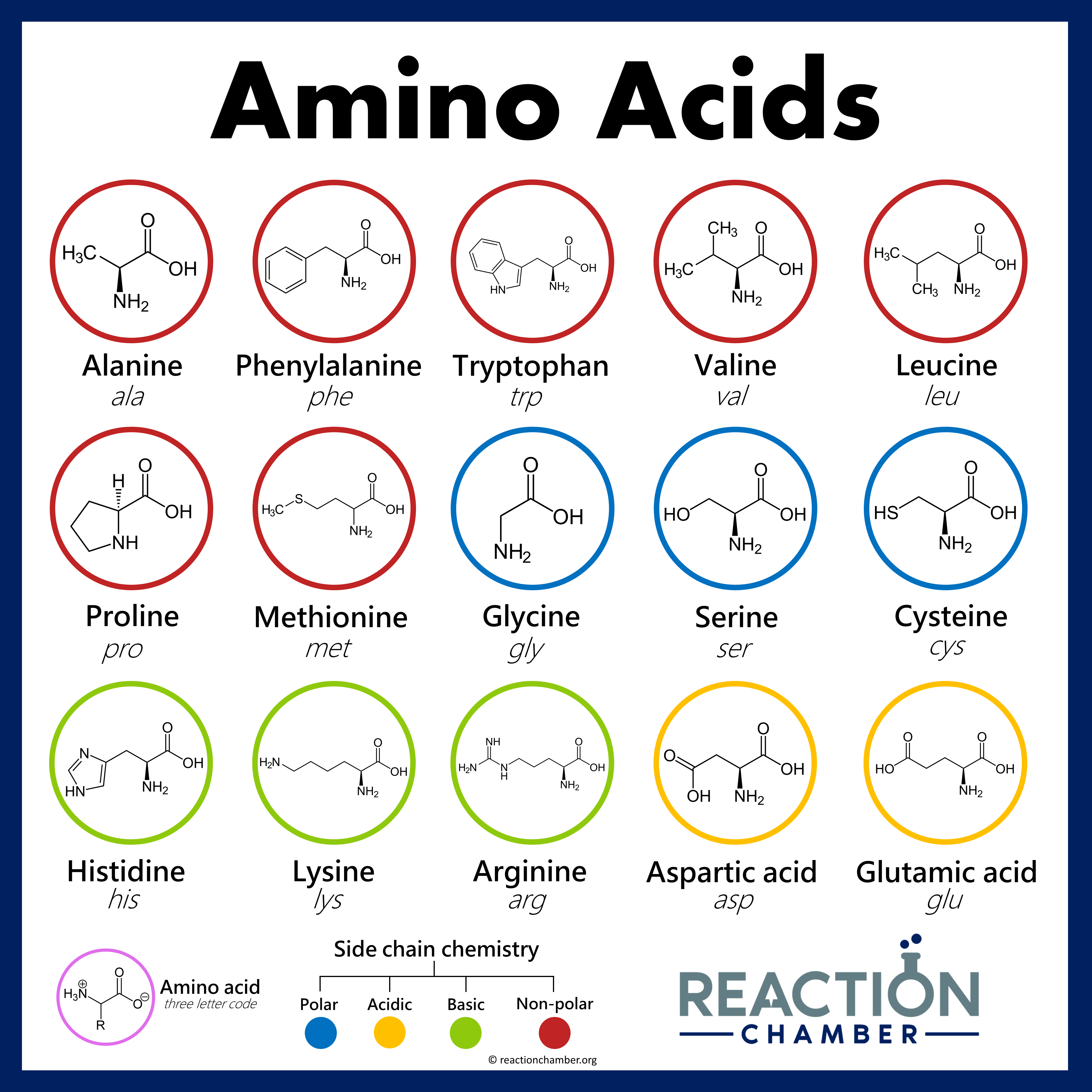 ReactionChamber - Amino Acids